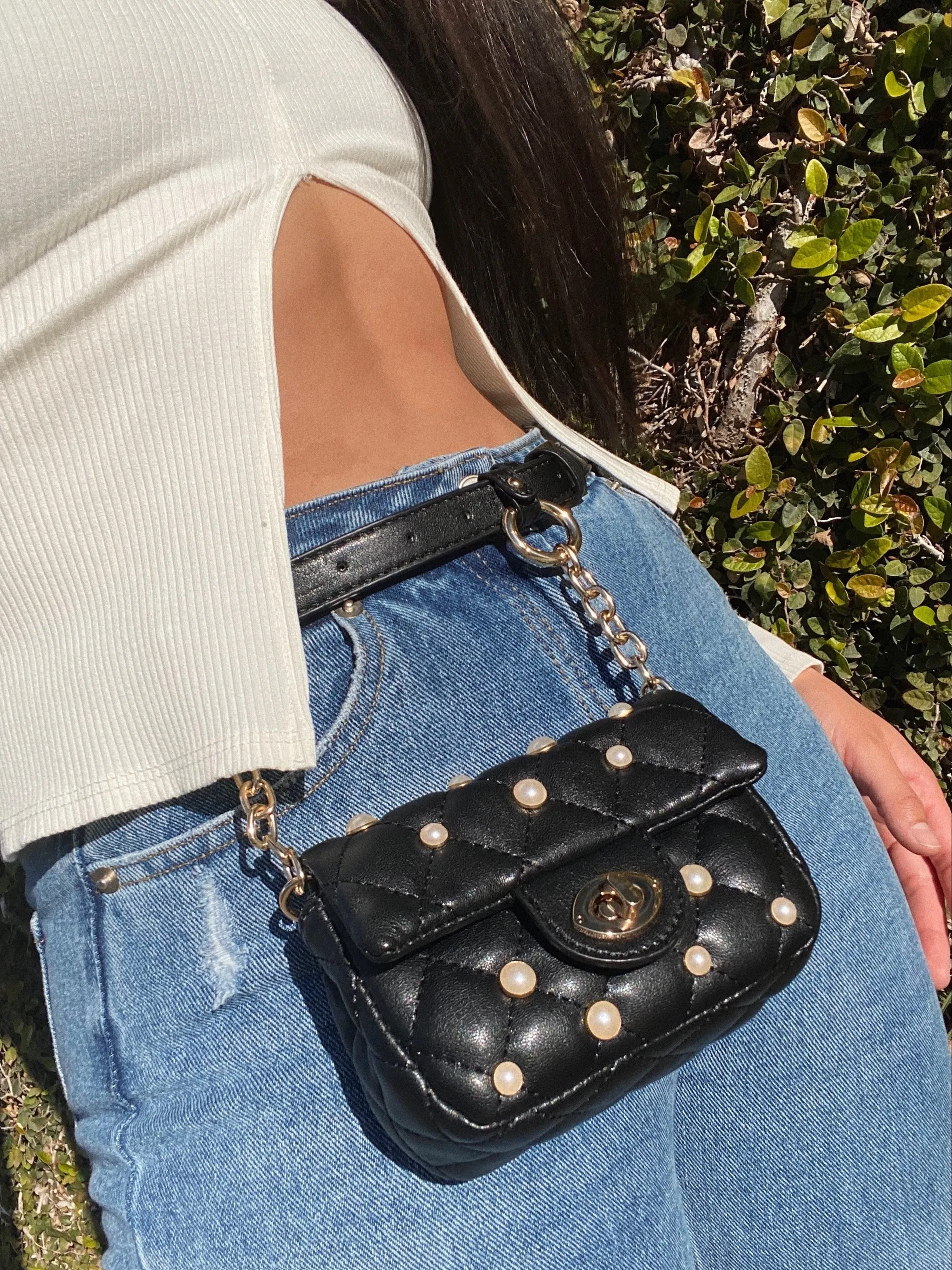 chantel fanny